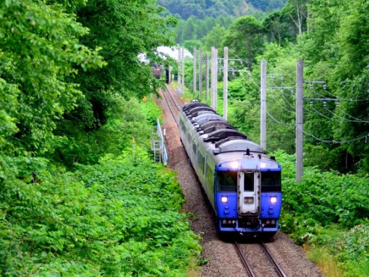 По железной дороге в обход Украины будут проходить 248 поездов в сутки