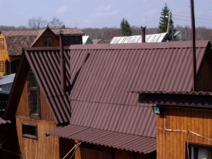 Покраска крыши дома своими руками