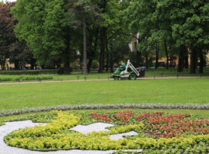Петербургские садовники постригли газоны на площади свыше 6 тысяч гектаров