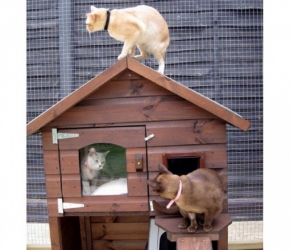 Зимний домик для кошки