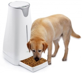 Автоматическая кормушка для собак крупных пород