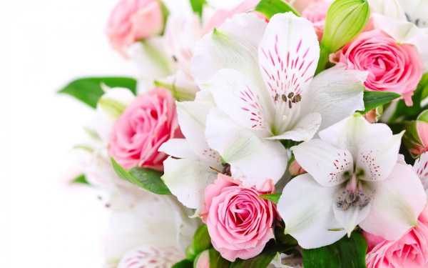 Какие цветы нужно дарить на 8 марта: какие можно и нельзя дарить, что означают тюльпаны, розы, ромашки, кому
