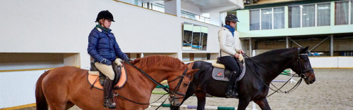 В Новой Москве появится конно-спортивный клуб