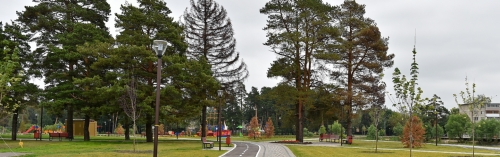 Территорию на месте ЛЭП в Воронцовском парке благоустроят до конца года