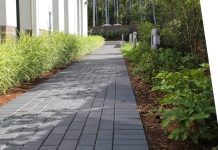 Ландшафтное проектирование участков: гармония природы и архитектуры